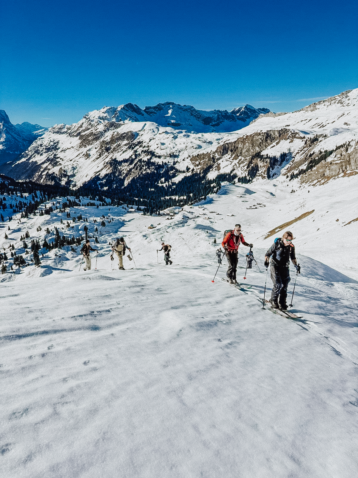 freeride reis